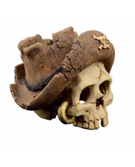 Déco Aquarium Tête de Pirate 1 Aquavie Résine Crâne Trésor Zen 8,5 x 7,5 x 7 cm