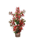 Hobby Flora Stone 7 Décoration Pierre à Plantes 4x25 cm Aquarium Terrarium
