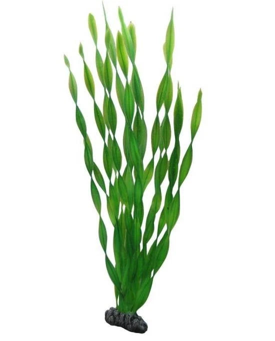 Plante Artificielle Vallisneria 46 cm - Décor Fond d'Aquarium XL - Hobby