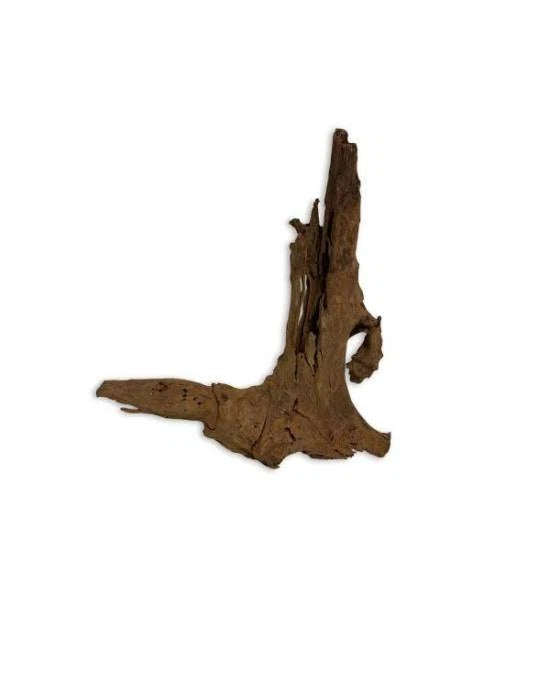 Racine de Malaisie Aquavie 12-20cm Bois Naturel Aquarium Eau Douce et Terrarium
