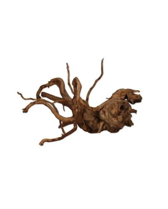 Racine Vigne Rare Rouge Aquavie 10-20cm Araignée Aquascaping Aquarium Naturel