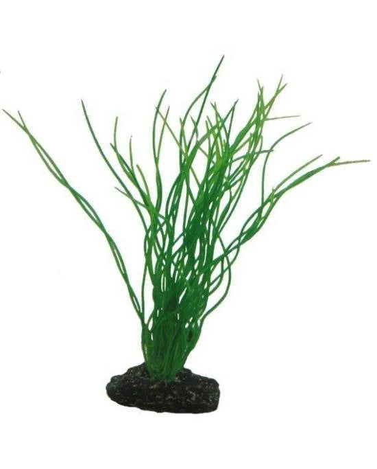 Plante Artificielle Sagittaria 20 cm - Décoration Aquarium & Terrarium - Hobby