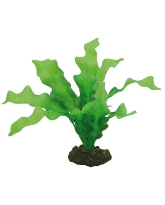 Plante Artificielle Echinodorus 20 cm - Décoration Aquarium & Terrarium - Hobby