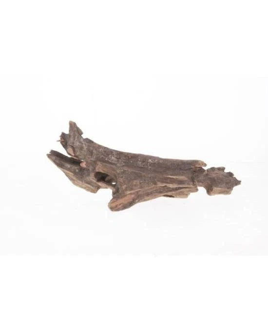 Aquavie Racine Pookanature 10-25 cm Bois Naturel Aquarium Nano Aquascaping