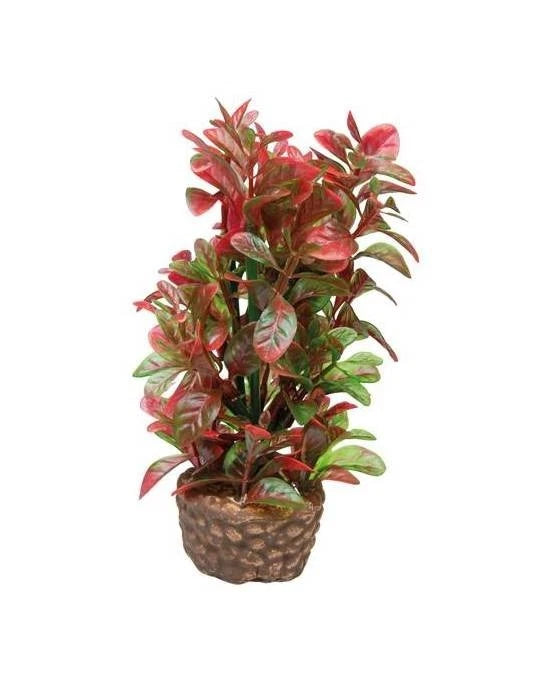Hobby Flora Stone 4 Décoration Pierre à Plantes 4x13 cm Aquarium Terrarium