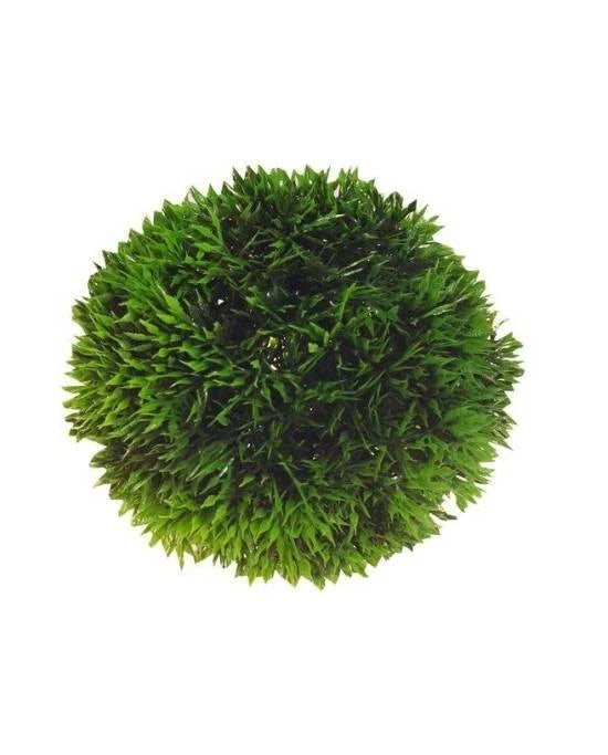 Hobby Plant Ball 9 cm - Boule de Plantes Artificielles pour Aquarium
