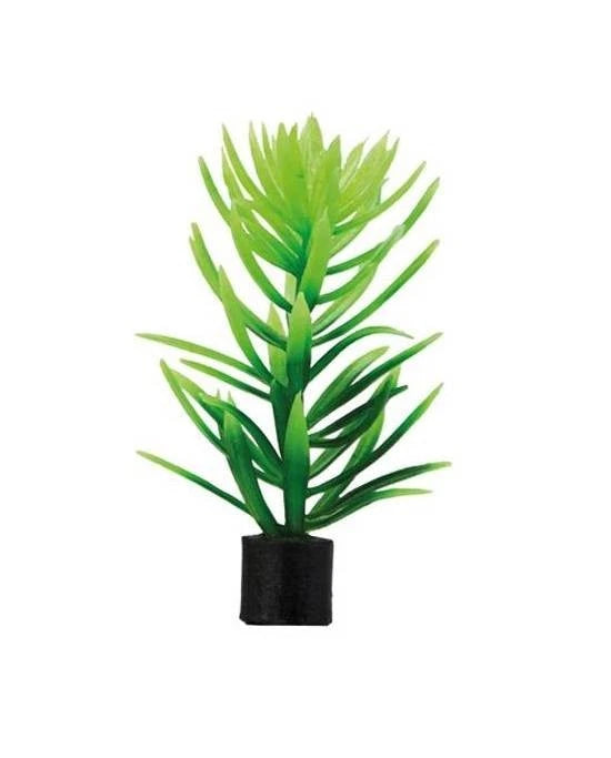 Plante Artificielle Hobby Didiplis Mini 6cm - Décoration Nano Aquarium