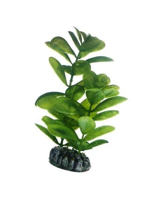 Hobby Saururus 16 cm - Plante Artificielle pour Décor Aquarium & Aquascaping