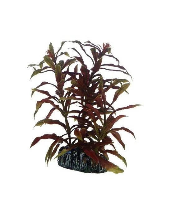 Hobby Nesaea 13 cm - Plante Artificielle Colorée pour Décor Aquarium