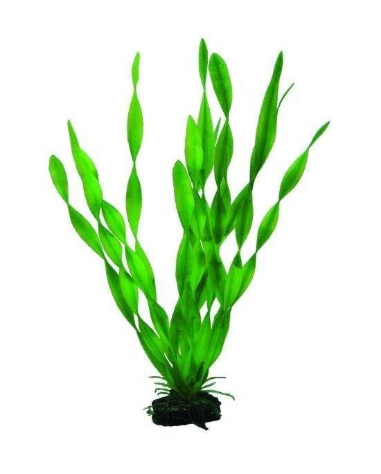 Plante Artificielle Vallisneria 34 cm - Rideau de Verdure Aquarium - Hobby