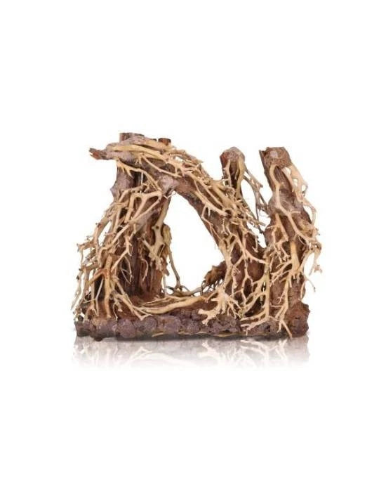 AQUAVIE FOREST NATURE V - TAILLE L/XL - RACINE NATURELLE AQUARIUM