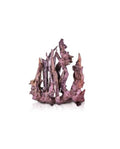 AQUAVIE FOREST CRY XS - RACINE NATURELLE NANO AQUARIUM