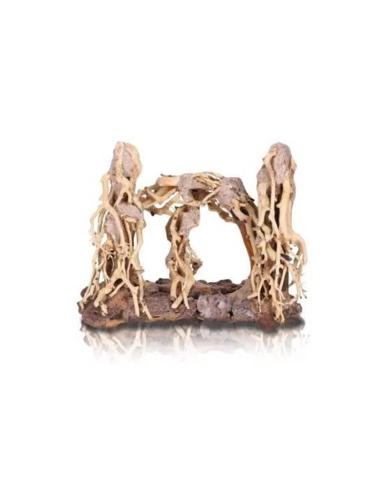 AQUAVIE FOREST NATURE 2R MM - RACINE NATURELLE AQUASCAPING