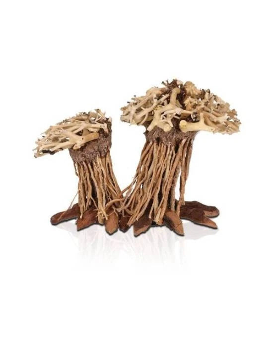AQUAVIE THREE FOREST DOUBLE PM - RACINE NATURELLE AQUASCAPING