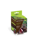 Ampoule Chauffante Infrarouge - Reptiles Planet - Infrared - 75W