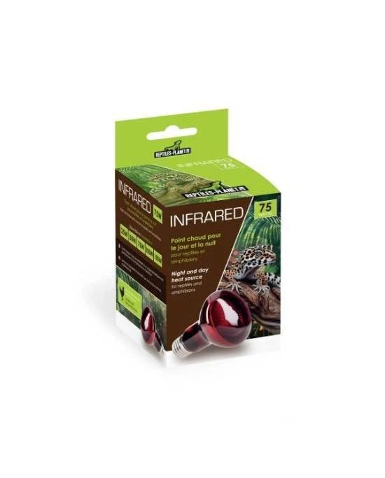 Ampoule Chauffante Infrarouge - Reptiles Planet - Infrared - 75W