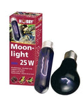 Ampoule Hobby Moonlight 60W - Éclairage Nocturne pour Terrarium