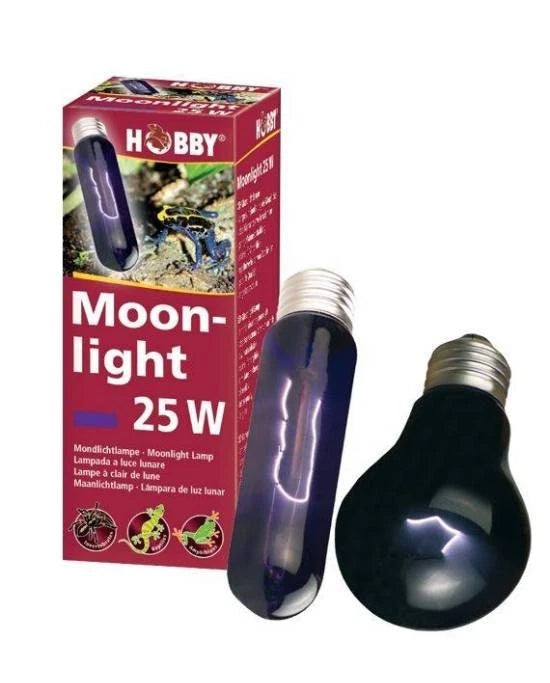 Ampoule Hobby Moonlight 60W - Éclairage Nocturne pour Terrarium