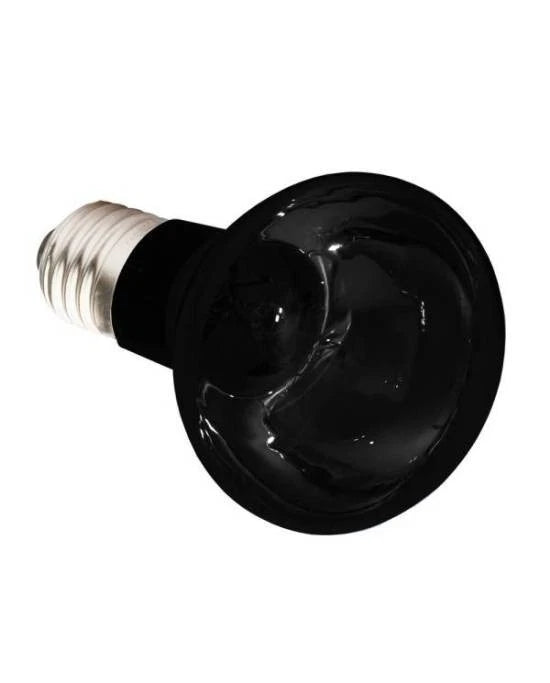 Ampoule Komodo Nightglow Spot Lamp ES - 75W - Éclairage Nocturne -