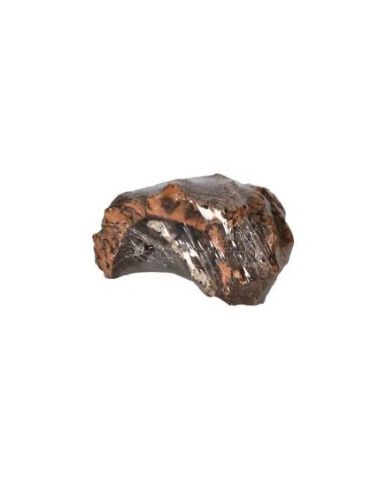 Aquavie - Assortiment Arches et Plateaux en Liège Naturel - 15 à 50 cm