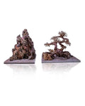 Aquavie Aquanature Landscape Bonsaï L Racine Décor Naturel Arbre Aquascaping