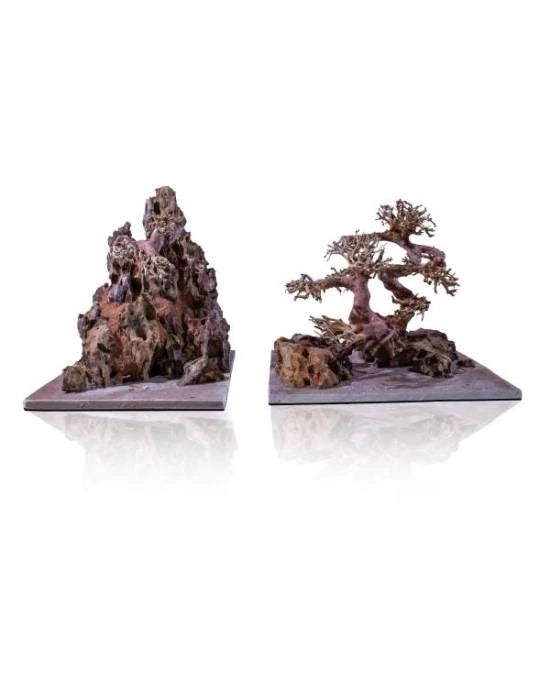 Aquavie Aquanature Landscape Bonsaï L Racine Décor Naturel Arbre Aquascaping