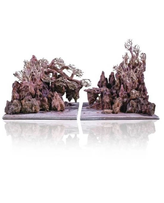 Aquavie Aquanature Landscape Canyon Forest L Décor Rocheux & Bois Aquascaping