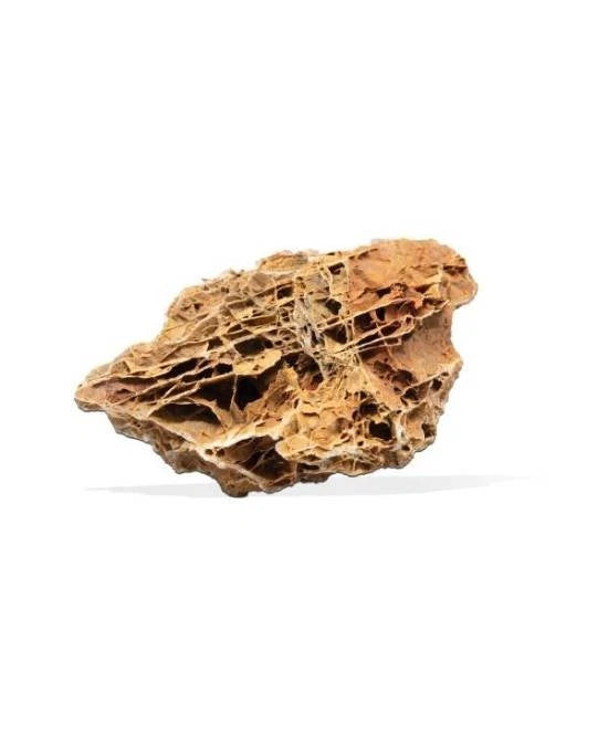 Aquavie Pierre Feuille Érable Orangée M1 - Décor Aquarium Terrarium - 15x20x10 cm