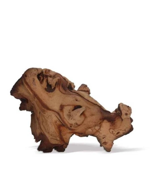 Aquavie Racine Mopani 45-75 cm Bois Naturel Aquarium Terrarium Aquascaping