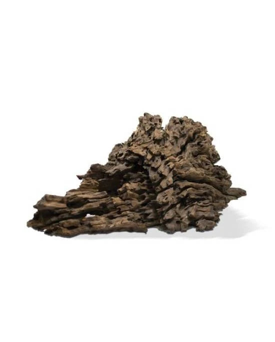 Aquavie Racine Pookanature 30-50 cm Bois Naturel Aquarium Décor Aquascaping L