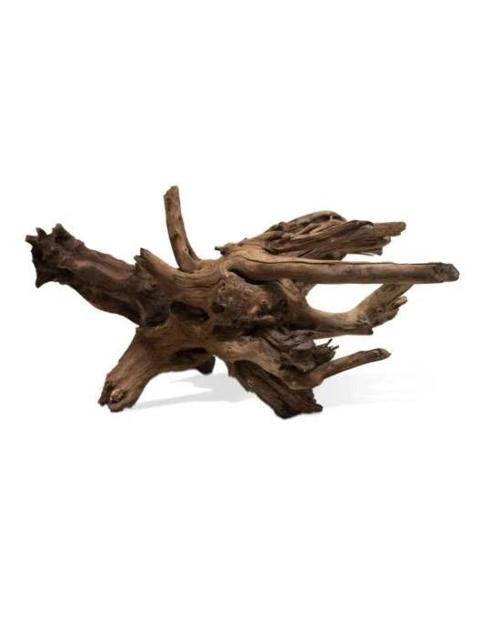Aquavie Racine Sinknature 60-80 cm Bois Naturel Aquarium Décor Aquascaping XXL