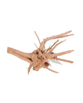 Aquavie Vigne Rare Slim 30-50 cm Racine Naturelle Fine Aquarium & Terrarium