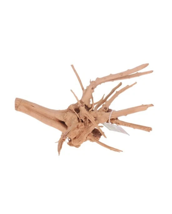 Aquavie Vigne Rare Slim 30-50 cm Racine Naturelle Fine Aquarium & Terrarium