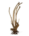 Aquavie Vigne Rare Tree XXL 140-180cm Racine Naturelle Aquarium Géant Terrarium
