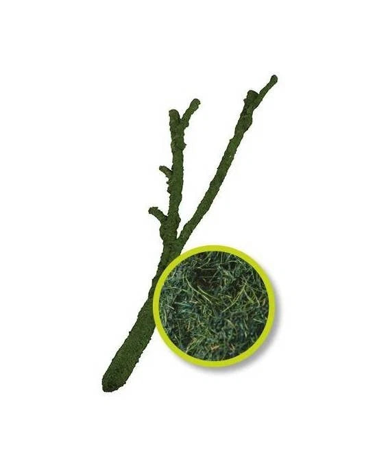Branche Natural Tropical Vine S Komodo Décoration Réaliste pour Terrarium Reptile