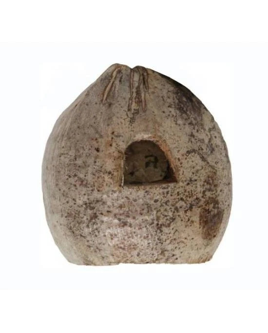 Cachette Coco Home Reptiles Planet Refuge Naturel pour Reptiles et Amphibiens