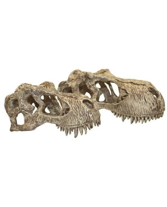 Cachette Crane Dinosaure TRex Terrarium Decor Komodo T-Rex Skull L Reptile 1pc