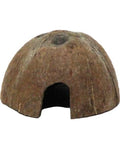 Coco Shelter Reptiles Planet Cachette Naturelle Noix de Coco Terrarium
