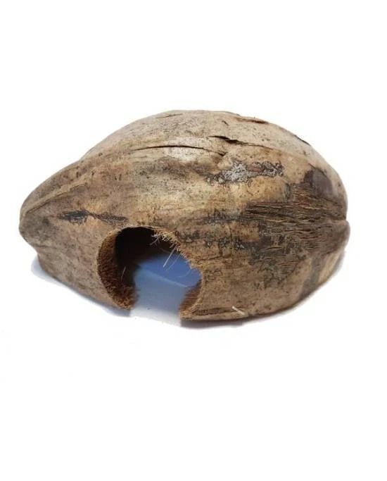 Décor Terrarium Coco Casa Cachette Grotte Noix de Coco Reptiles Planet Neuf