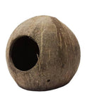 Décor Terrarium Coco Cave Grotte Cachette Noix de Coco Reptiles Planet Neuf