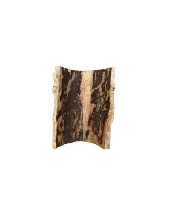 Décor Terrarium Treehouse Giant Grotte Cachette Tronc Reptiles Planet 25cm