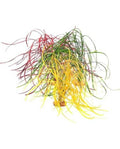 Décoration Falling Sea Grass Komodo Ambiance Tropicale Suspendue pour Terrarium