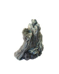Décoration Nano Forest Kinabalu L Komodo Cachette Naturelle pour votre Terrarium