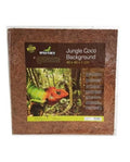 Fond Terrarium Fibre Coco Decor Reptiles Planet Jungle Coco Background 40x40