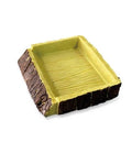 Forest Dish L Reptiles Planet 14.5x12.5x3 cm Gamelle Abreuvoir Decor Terrarium