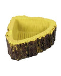 Forest Dish Reptiles Planet 7.5x8.5x3 cm Gamelle Abreuvoir Decor Terrarium Neuf
