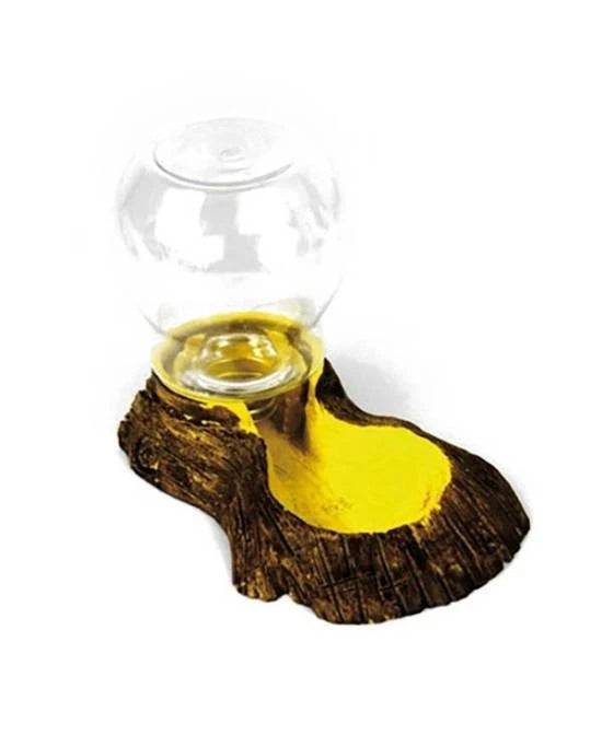 Forest Drinking Water Source Reptiles Planet Abreuvoir Fontaine Terrarium
