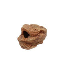 Gecko Nesting Cave M Reptiles Planet 12x10.5x7.7 cm Cachette Ponte Terrarium