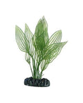 Hobby Aponogeton 16 cm - Plante Artificielle pour Milieu de Plan