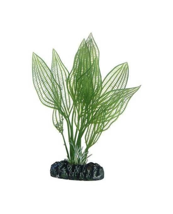 Hobby Aponogeton 16 cm - Plante Artificielle pour Milieu de Plan